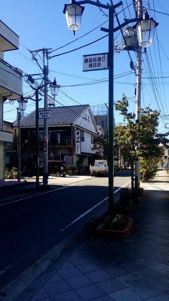 山茂登