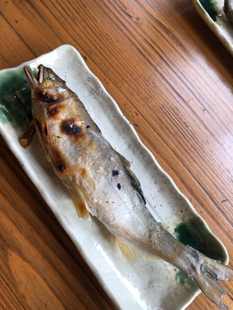 ヤナ茶屋もがみ