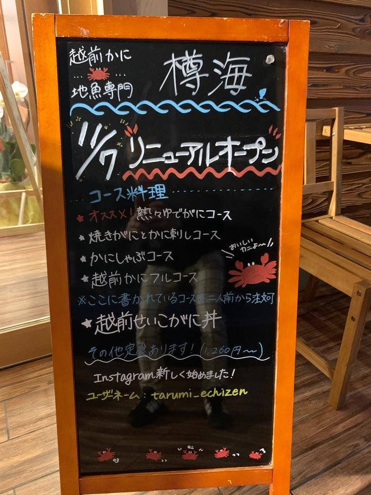 樽海
