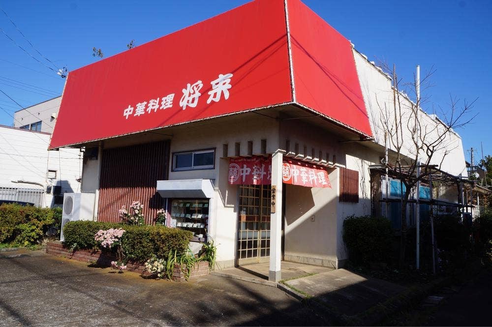将来