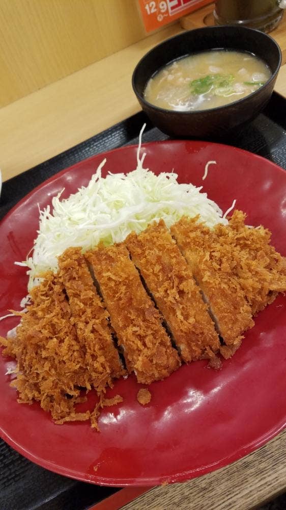 かつや 川崎溝の口店