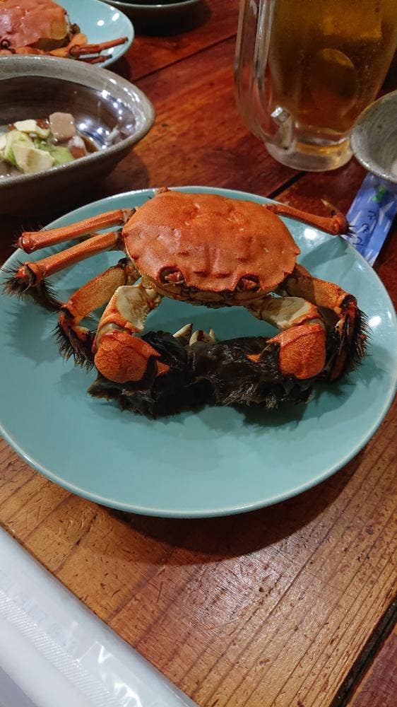 ちょこっと