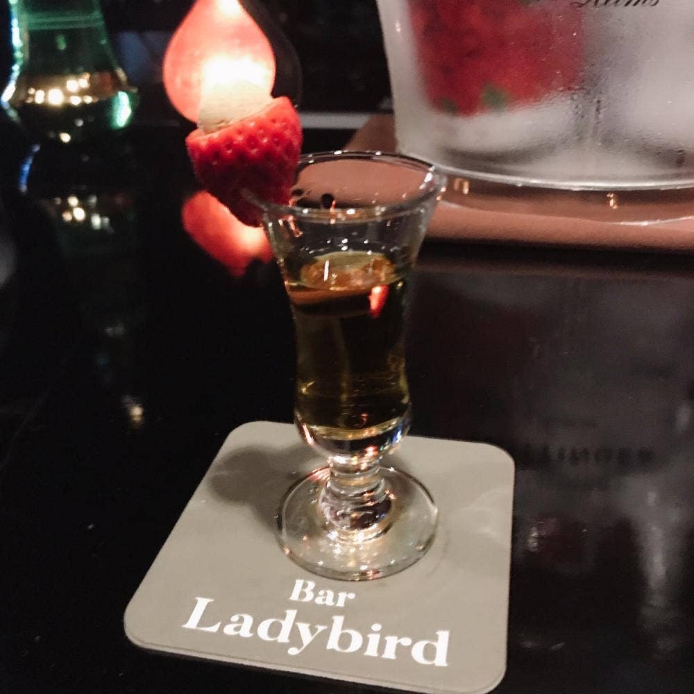 Bar Ladybird