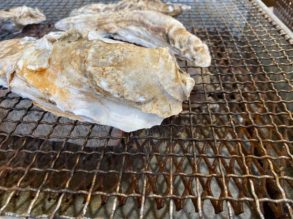 牡蠣焼き 八光