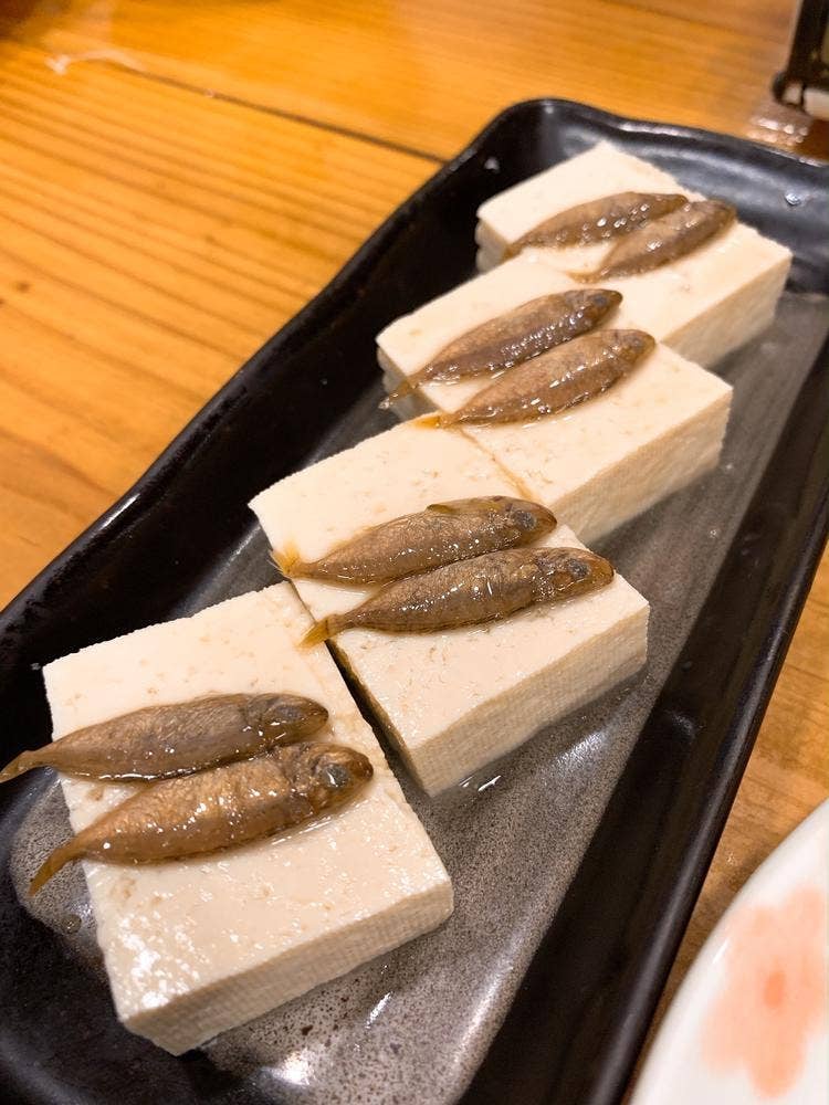 黒潮の大関
