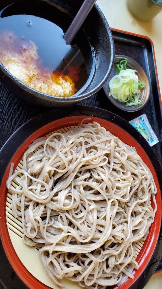 たてる家