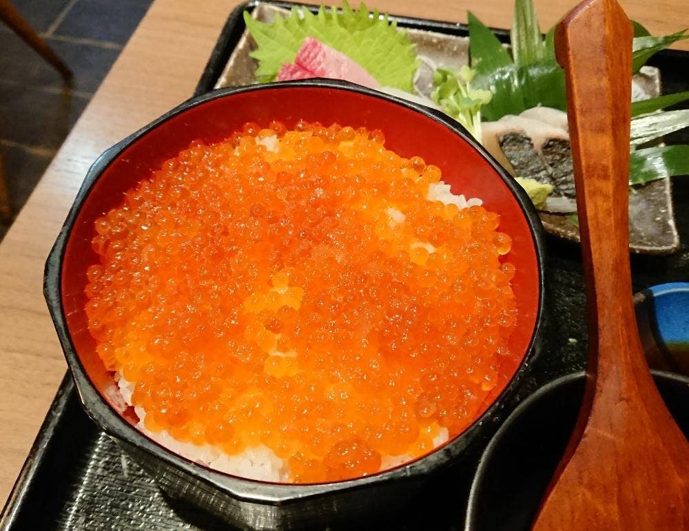 魚舞