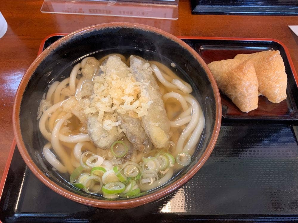 春の家