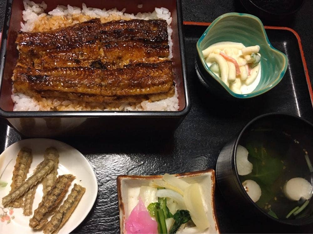 藤よし