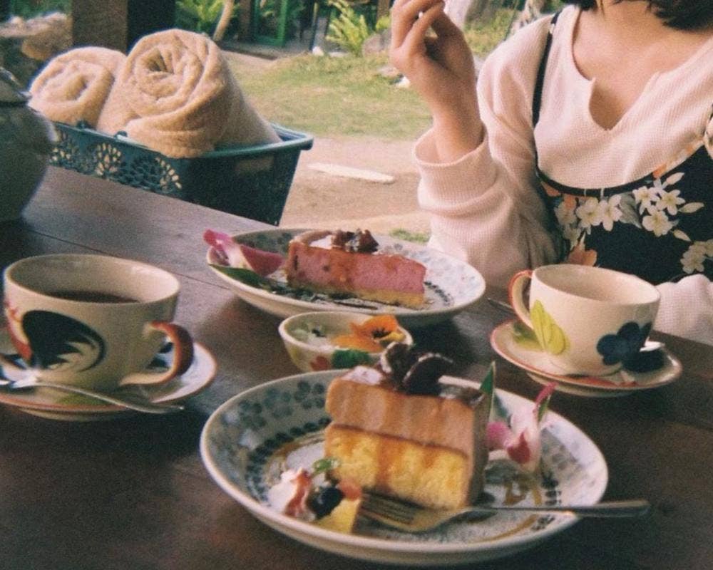 亜熱帯茶屋