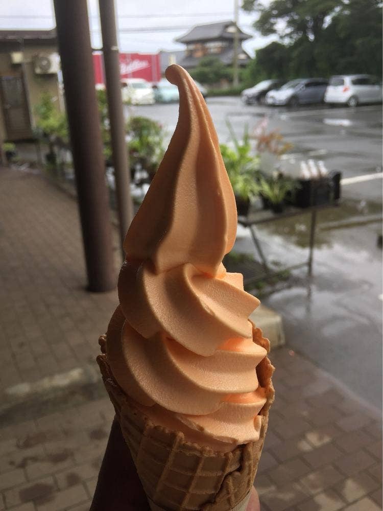サングリーン旭