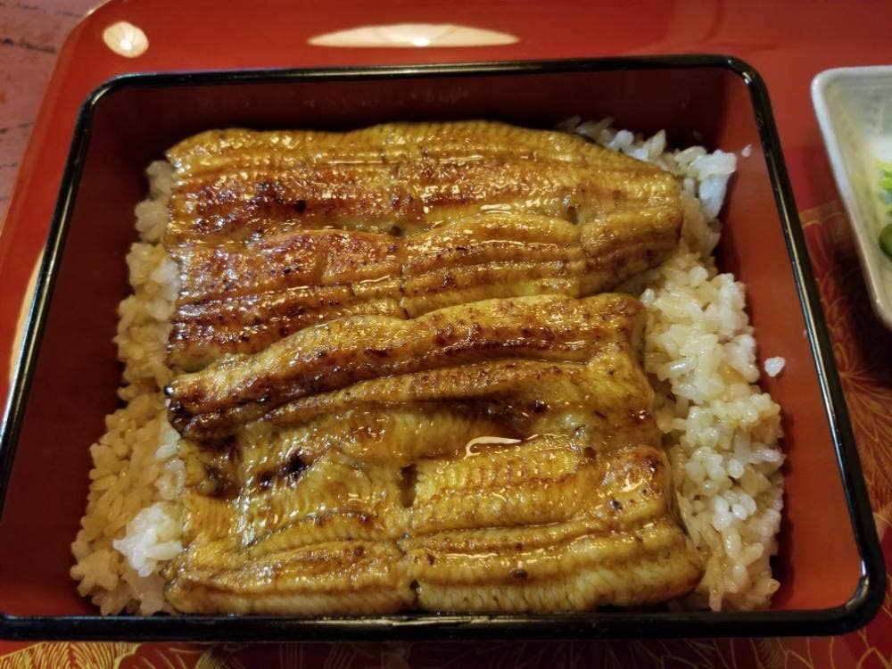 梅乃井
