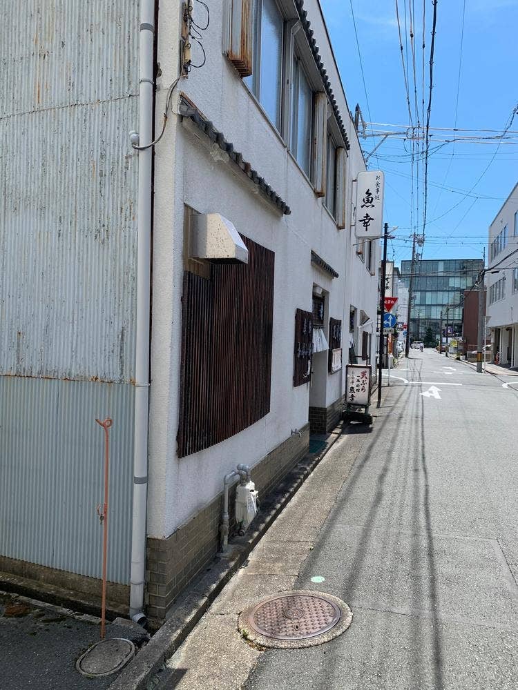 魚幸