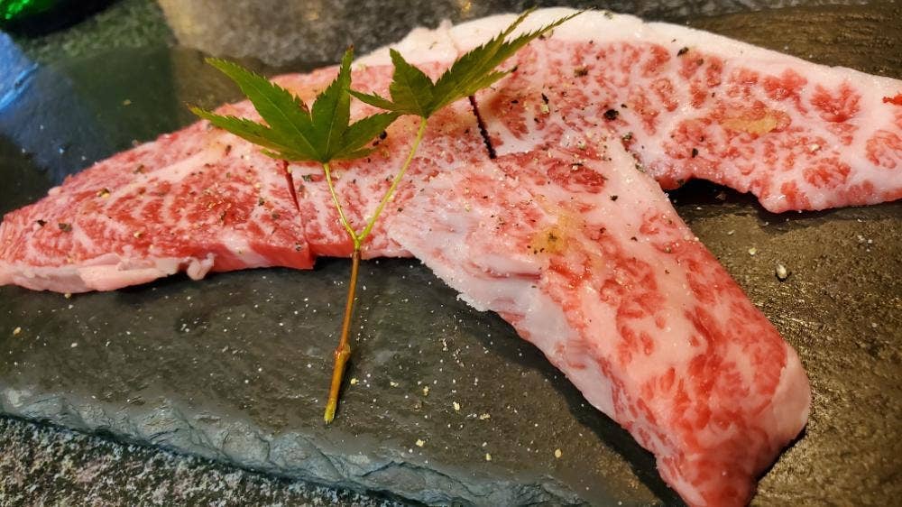 加茂川