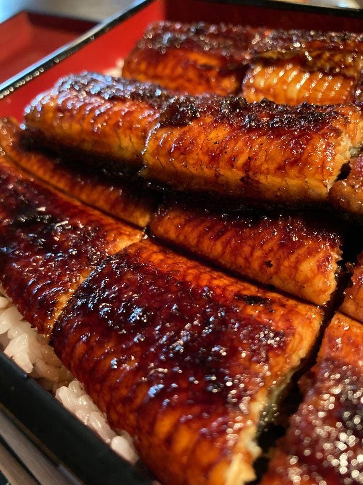 熊本 上乃裏 うな雅