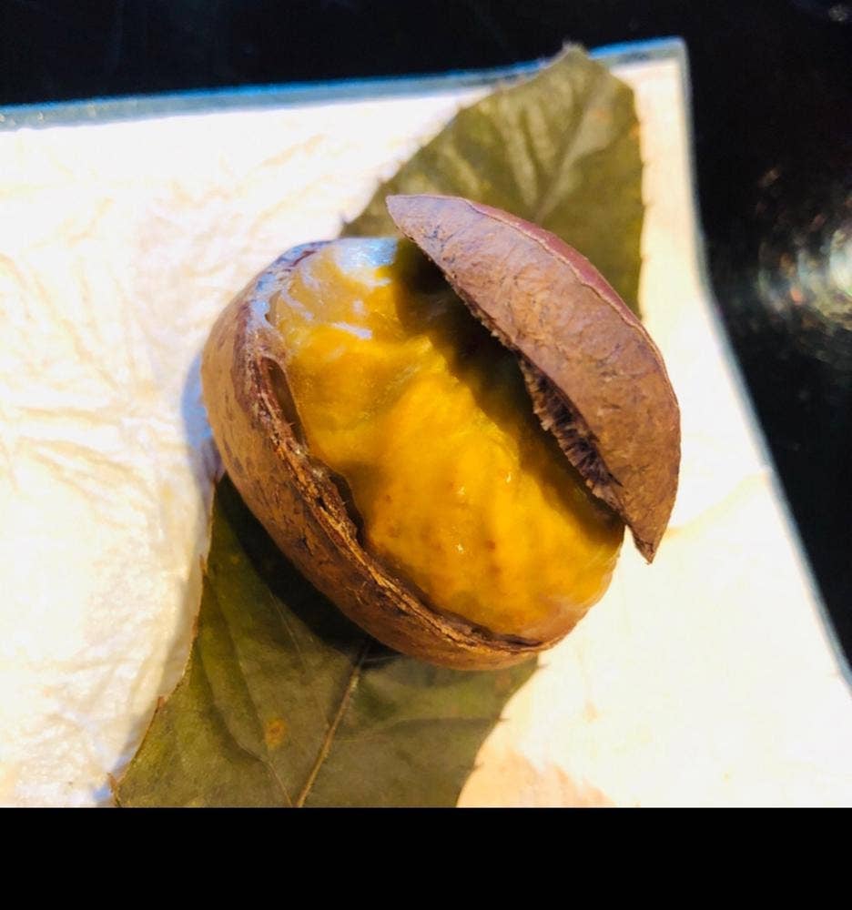 京甘味 観茶香