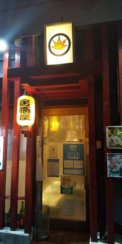 どらもみじ レッド
