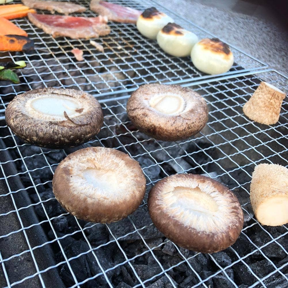 佐倉きのこ園