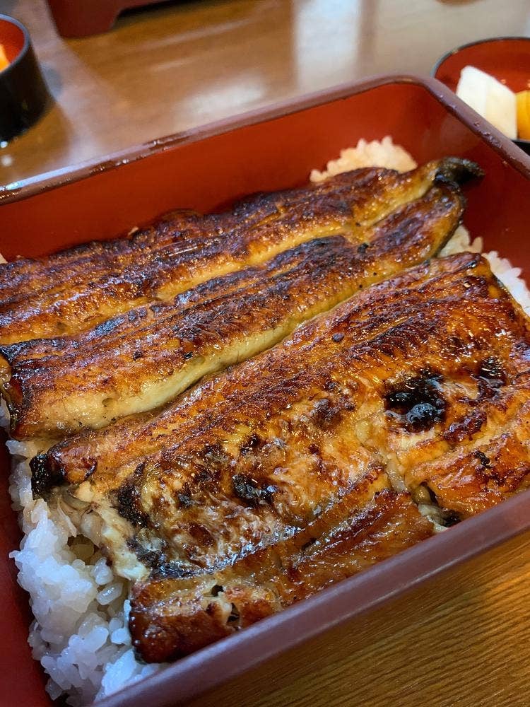 茅木家