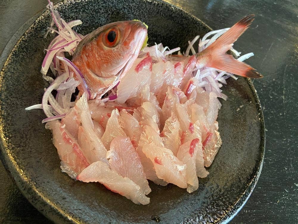 魚介豚骨 麺-PLUS