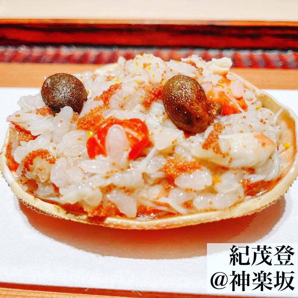 紀茂登