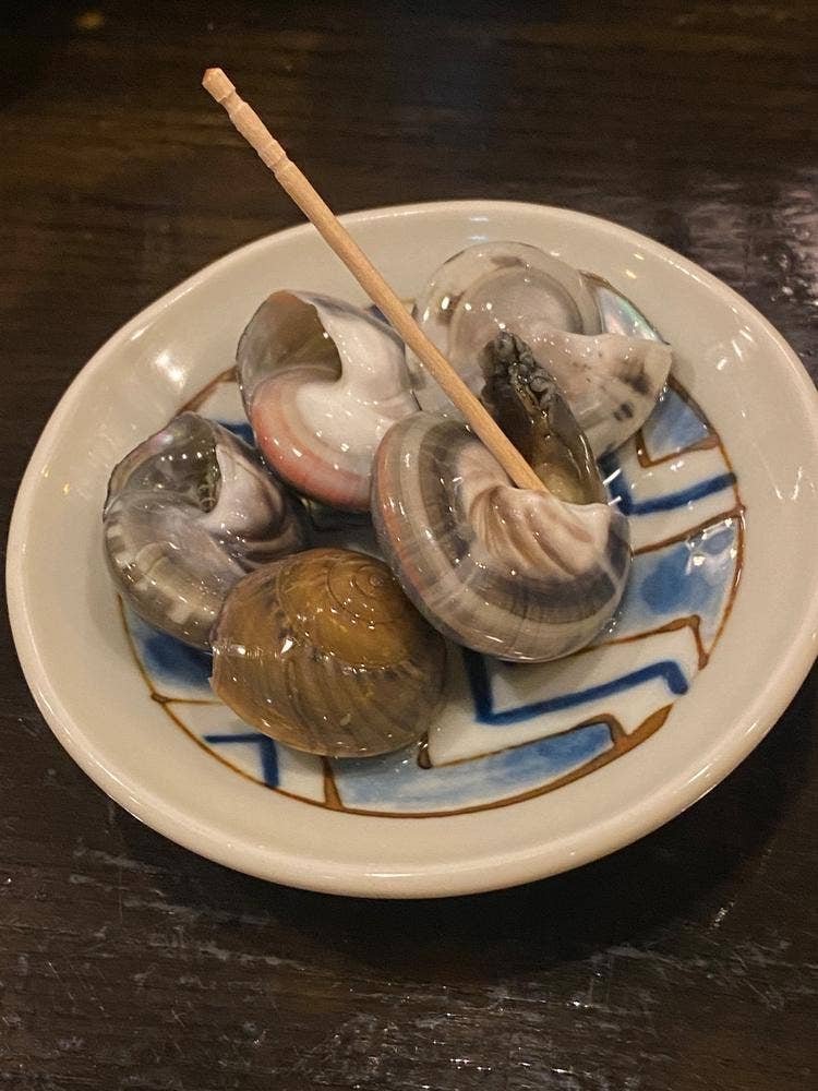 懐新