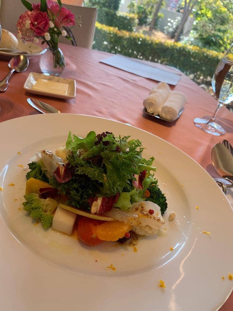 ヴィオレット・ステラ