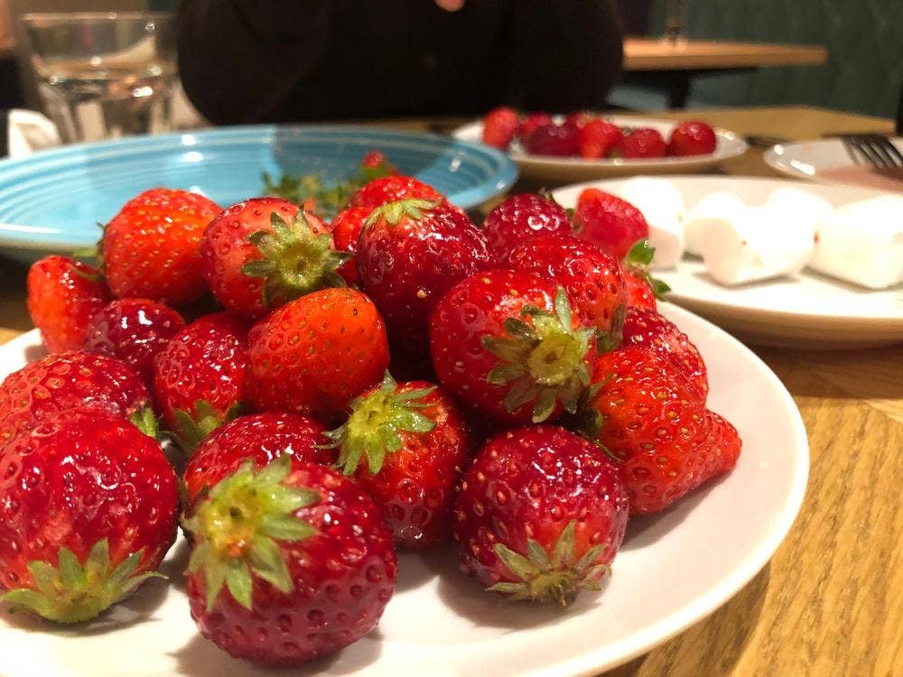 ESOLA 新宿店