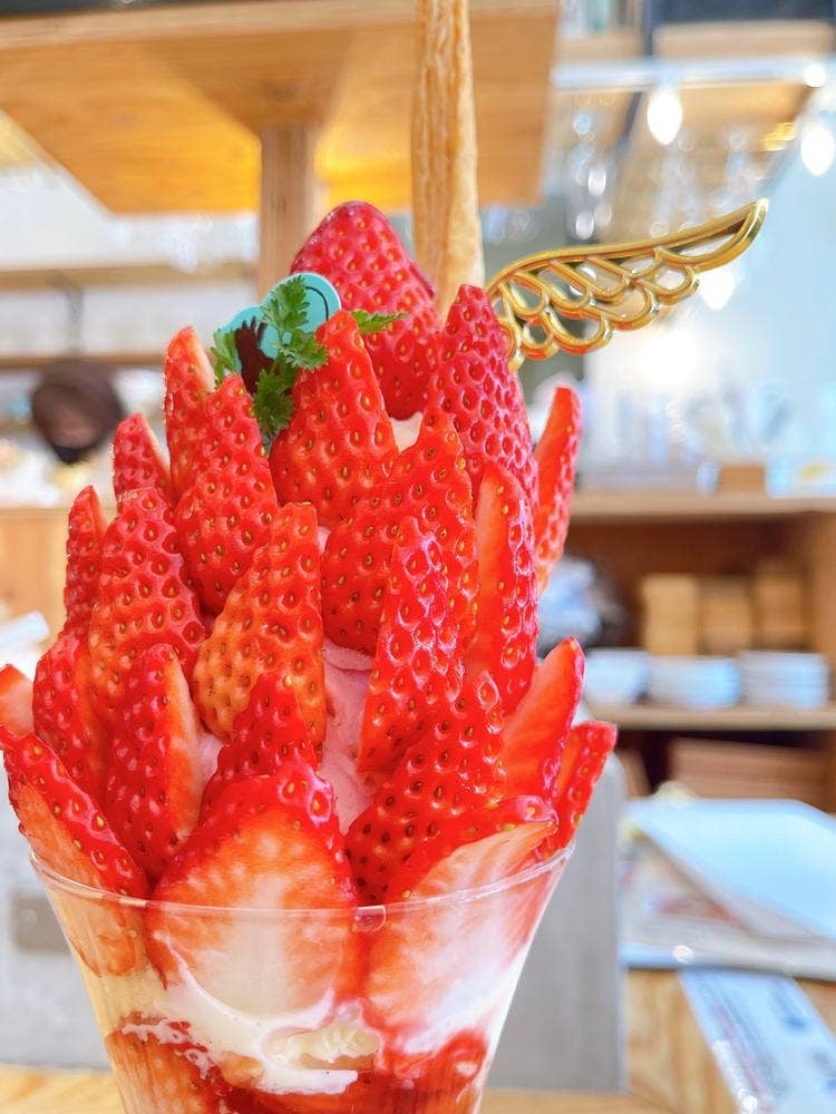 Cafe de Lyon Palette