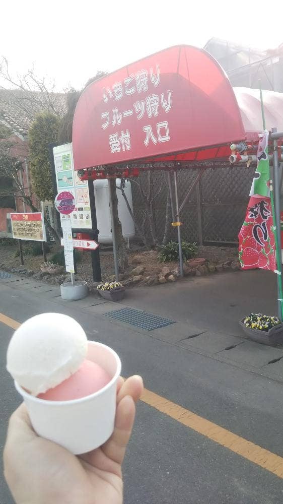 ジェラートハウスCAMPO いちごの里