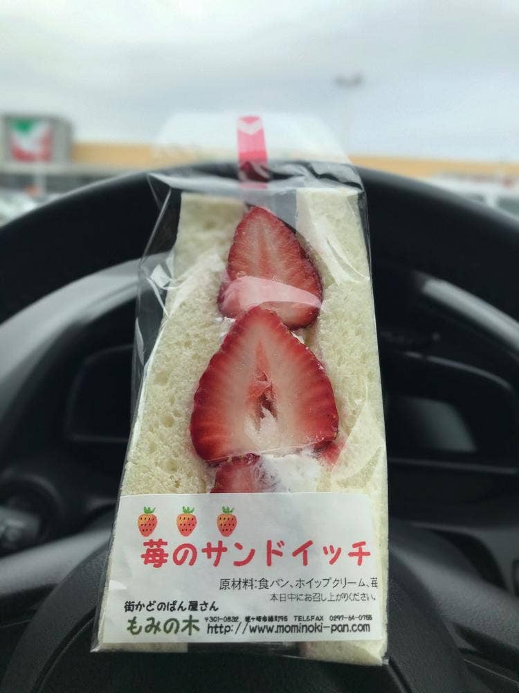 もみの木