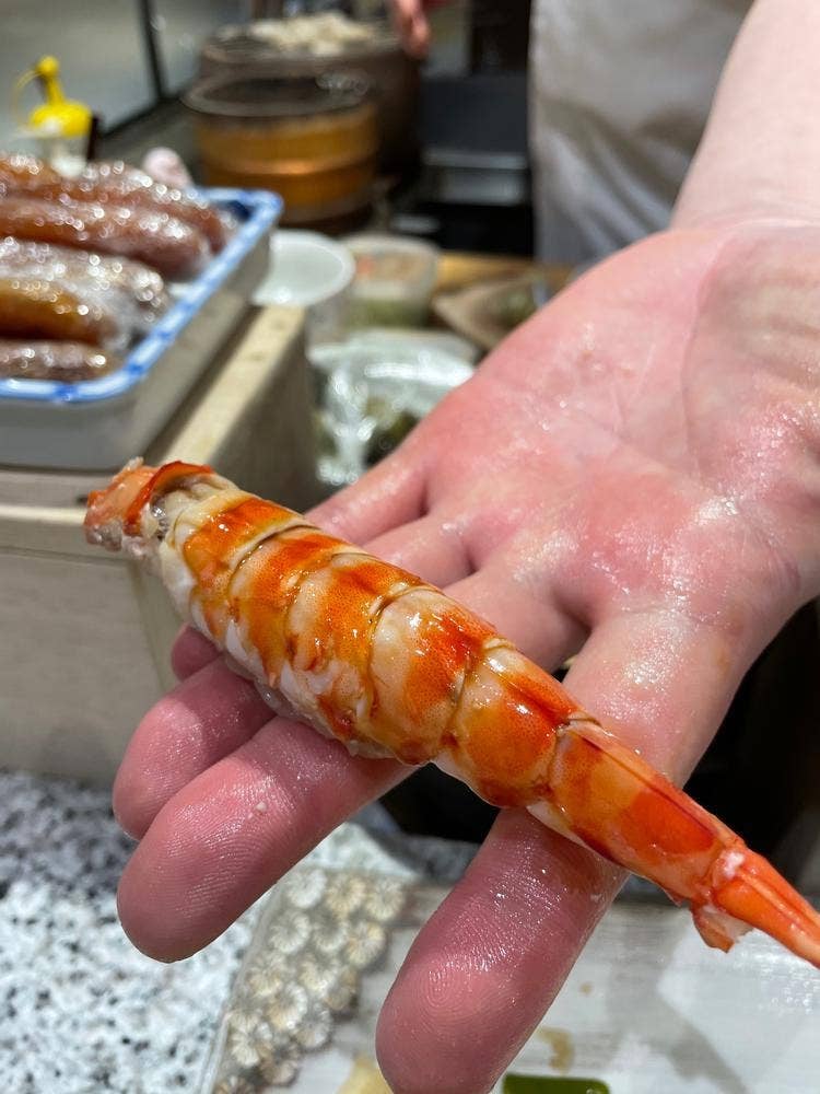 赤坂 和寿