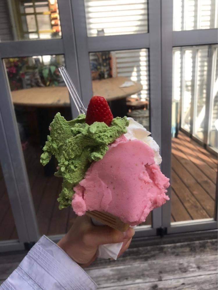 手づくりアイス イタリアンジェラート フレスカ