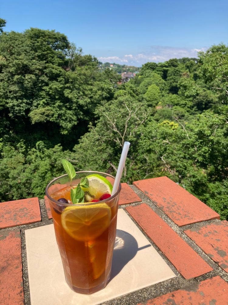 カフェテラス 樹ガーデン