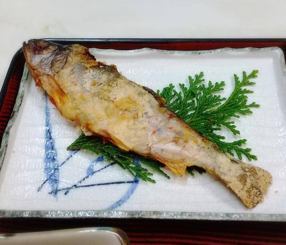 民宿 まつうら