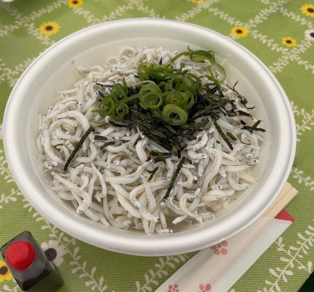 魚与水産
