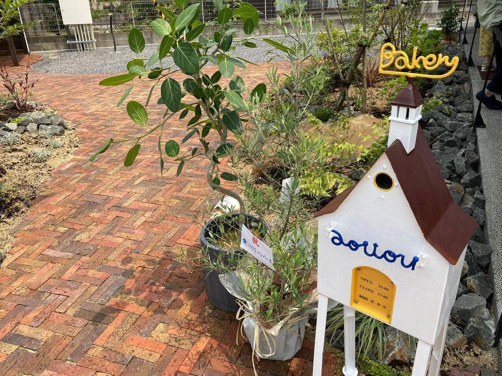 アオイトリ