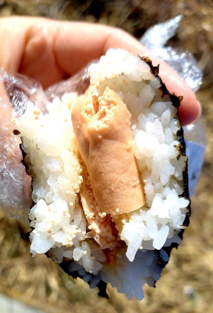 野田や