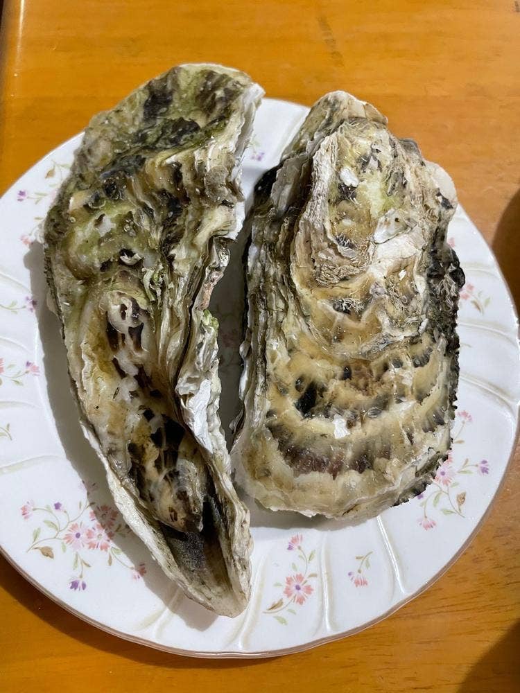 月の牛