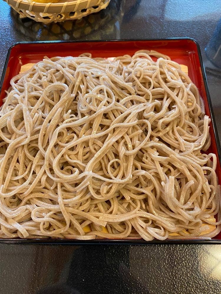 かしの樹