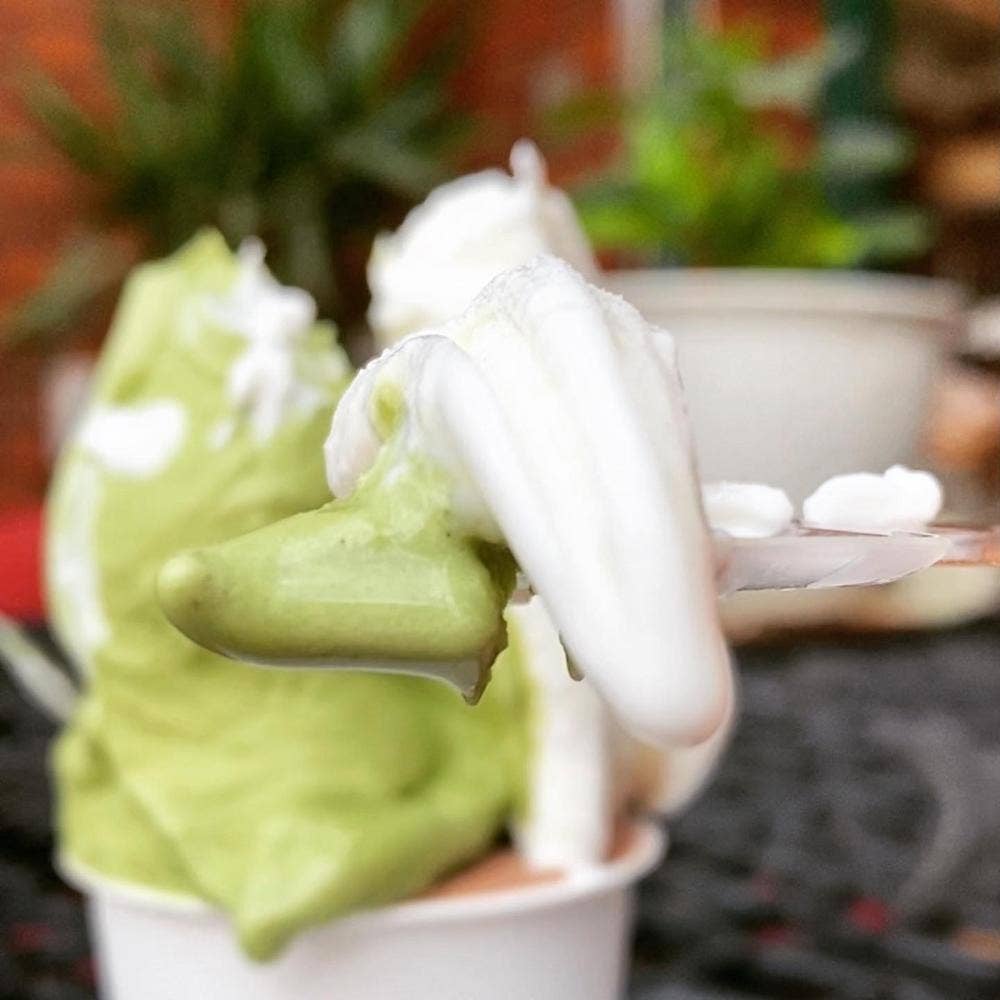 フランダース