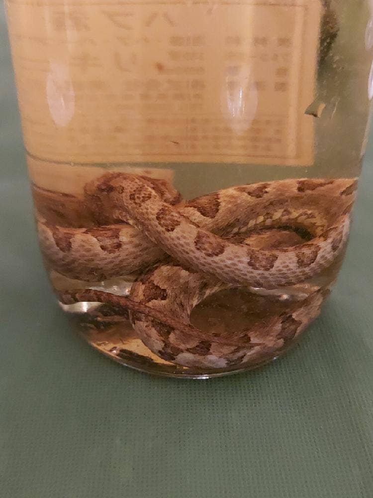 BAR星ノ庭