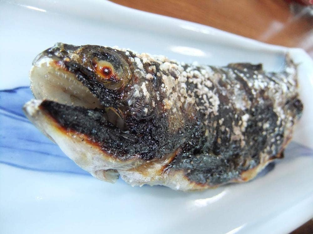 ますつり公園 にじます亭