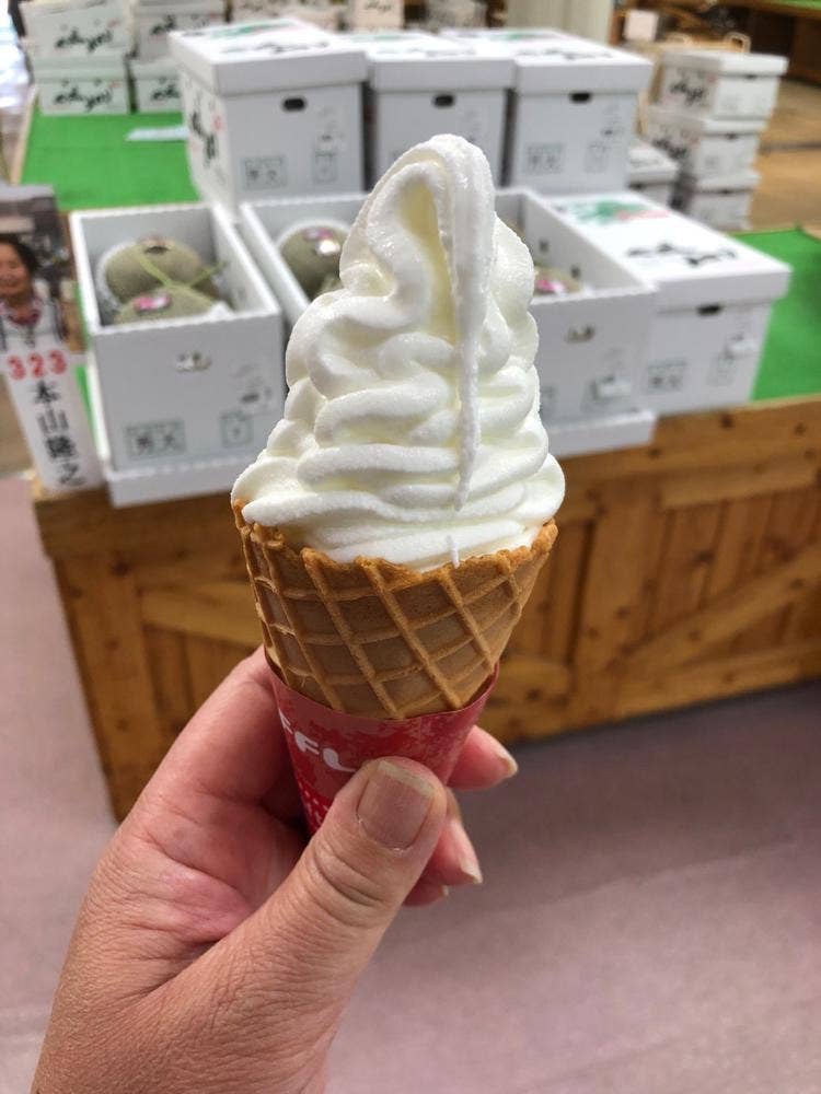 砦農園 メロンドーム店