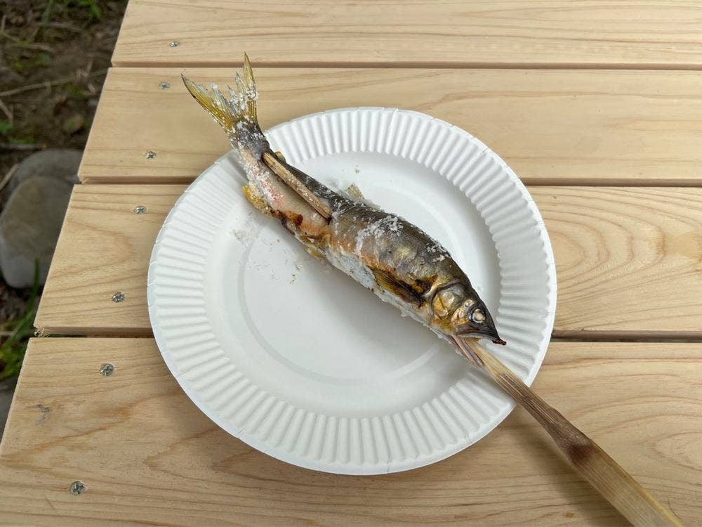 四万十川 屋形舟 さこや