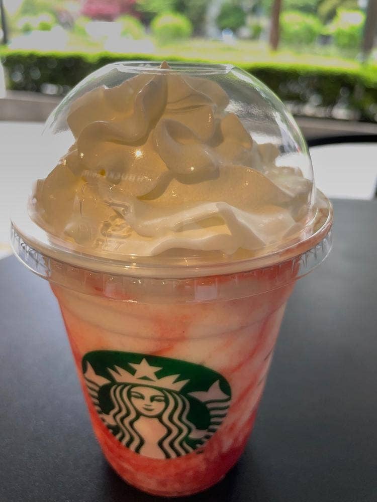 スターバックス コーヒー 水道橋後楽森ビル店