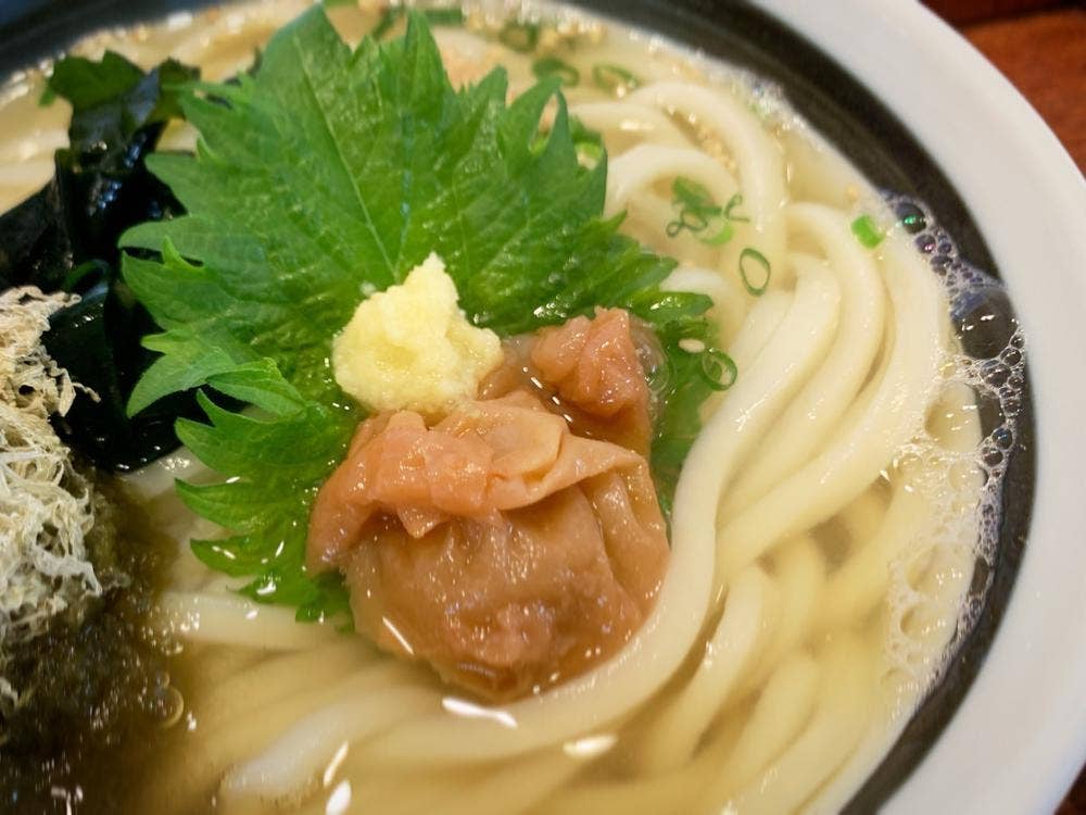 陽より