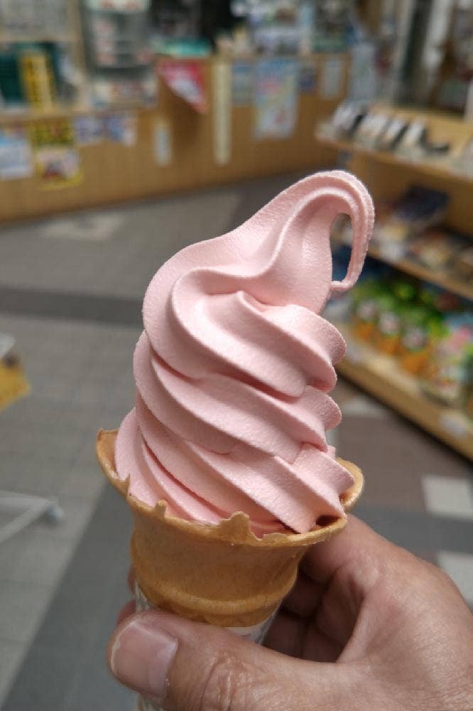 道の駅 とうま