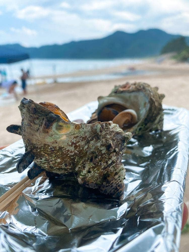 海の家 陸上パーキング