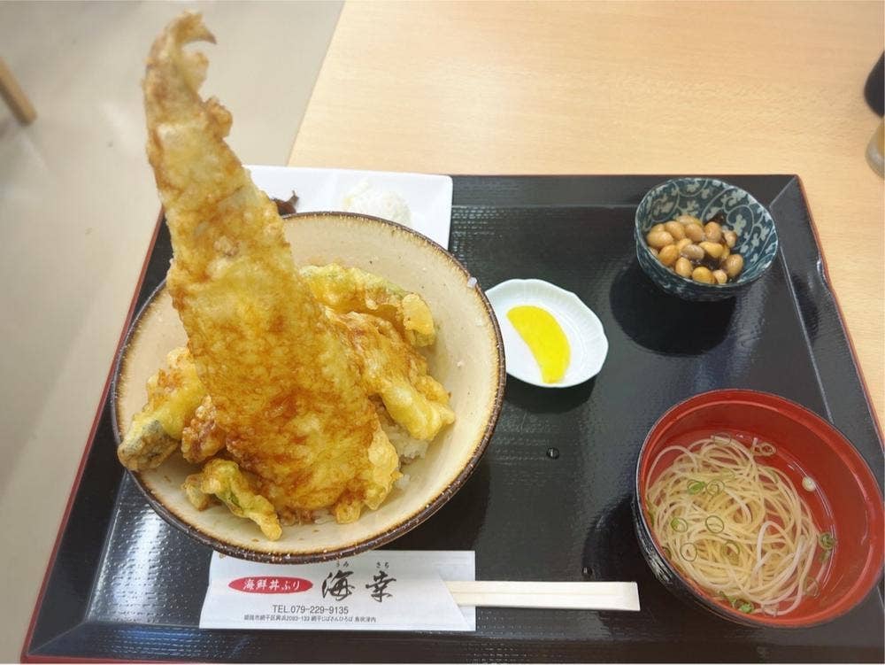海鮮丼ぶり 海幸 網干じばさんひろば 魚吹津